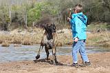ENFANT ET CHIEN 204